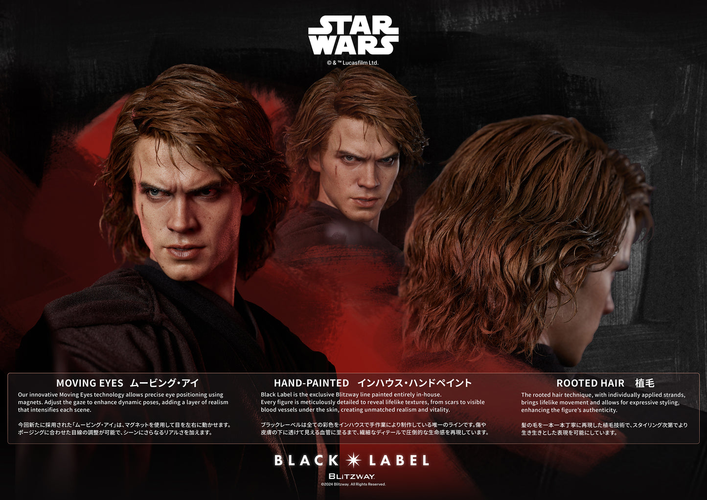 Anakin Skywalker (Black Label 002)