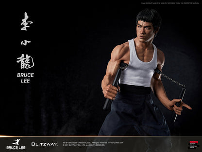 Bruce Lee (ver.4)