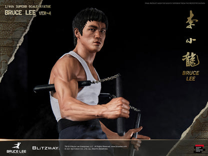 Bruce Lee (ver.4)