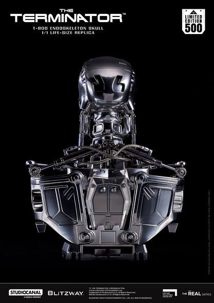 T-800 Endoskeleton Skull