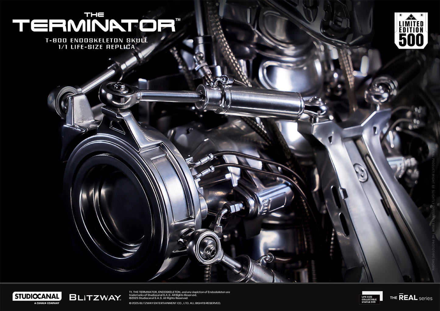 T-800 Endoskeleton Skull