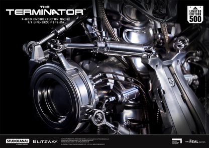 T-800 Endoskeleton Skull