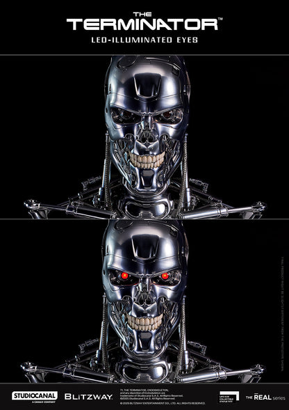 T-800 Endoskeleton Skull