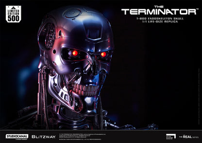 T-800 Endoskeleton Skull