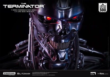 T-800 Endoskeleton Skull
