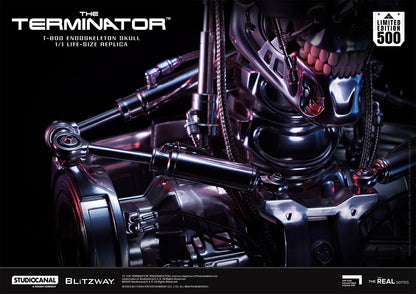 T-800 Endoskeleton Skull