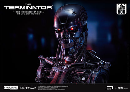 T-800 Endoskeleton Skull