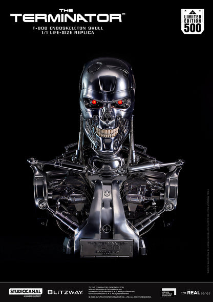T-800 Endoskeleton Skull