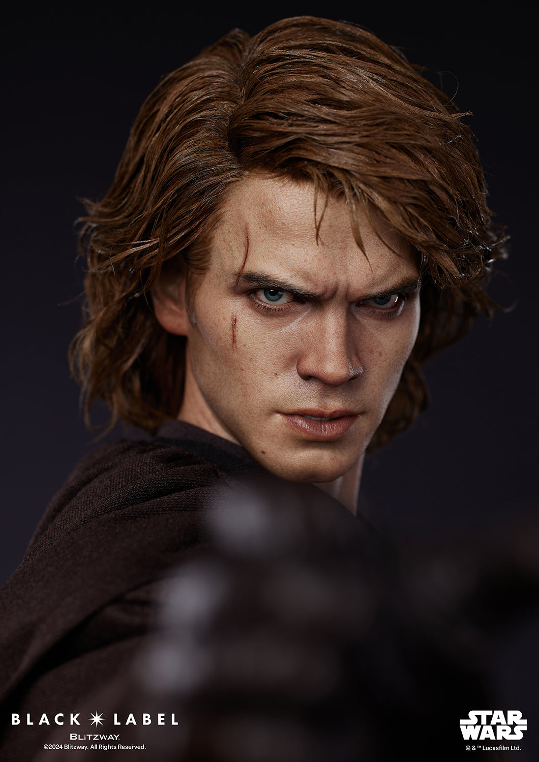 Anakin Skywalker (Black Label 002)