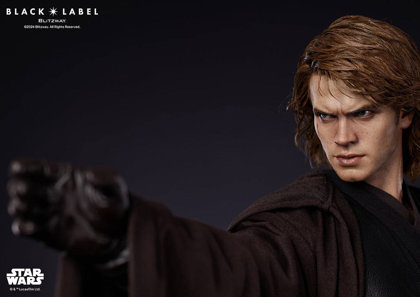 Anakin Skywalker (Black Label 002)