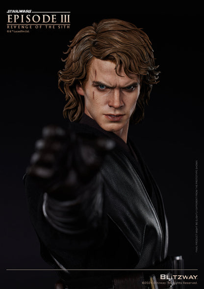 Anakin Skywalker (Standard Ver.)