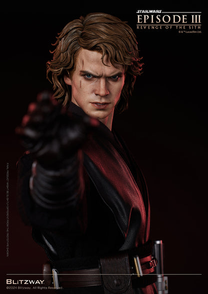 Anakin Skywalker (Standard Ver.)