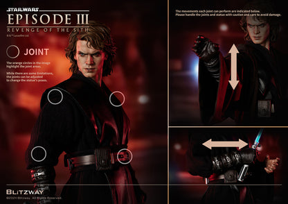 Anakin Skywalker (Standard Ver.)